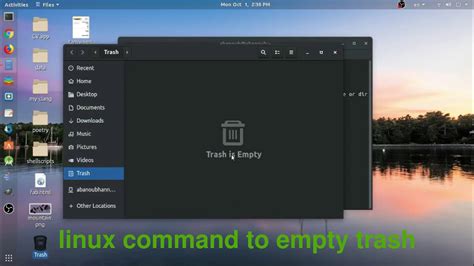 Empty Trash Bin Linux Command