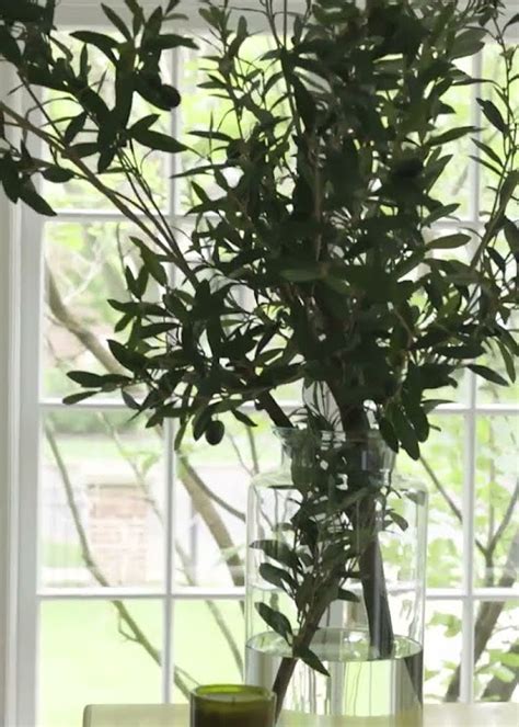 Empty Vase Discount Code