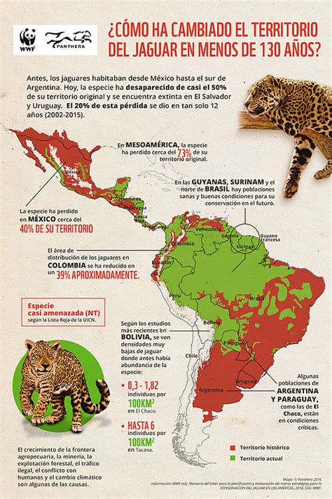 en donde habitan los jaguares