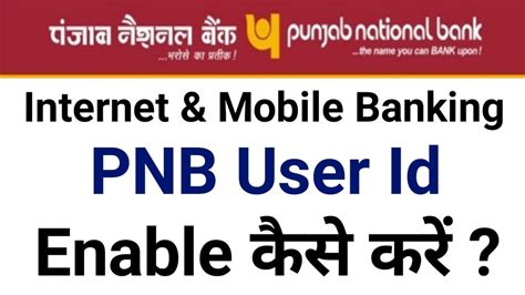 enable internet banking pnb