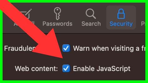 enable javascript on apple phone