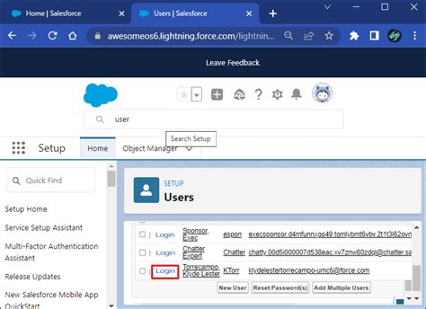 enable login as another user in salesforce