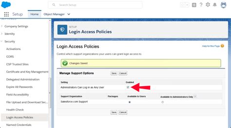 enable login as other user salesforce