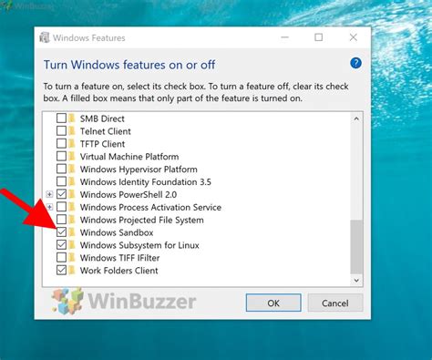  62 Most Enable Optional Features Windows 10 In 2023