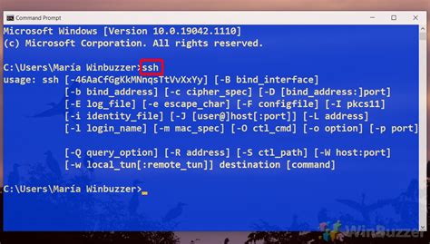 enable ssh windows command line