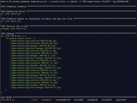Enansible Builtin Template
