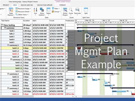Enapi Integration Project Plan Template