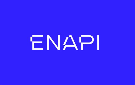Enapi Requirements Template