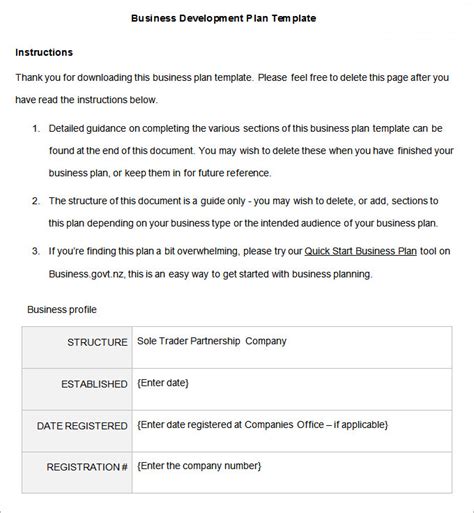 Enapp Development Business Plan Template