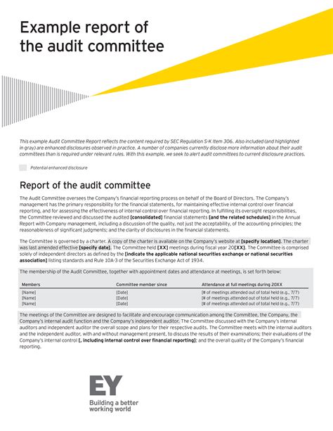 Enaudit Committee Presentation Template