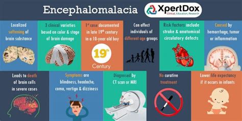 encephalomalacia life expectancy