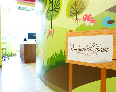 Enchanted Forest Pediatric Dentistry: Caring For Your Child's Dental Health