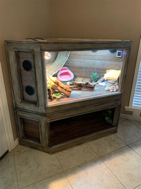 enclosure for bearded dragon