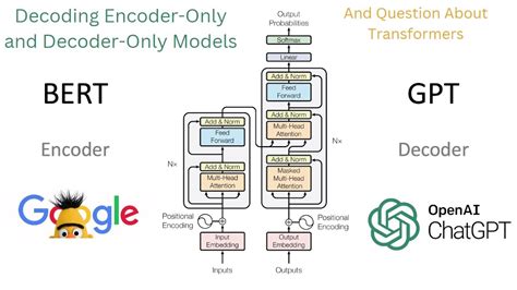 encoder only and decoder only models