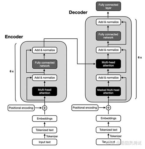 encoder only decoder only