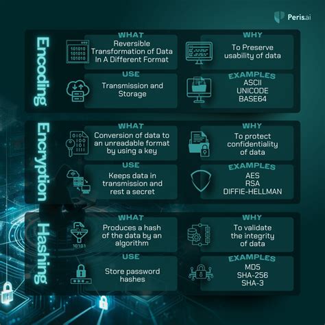 encoding cybersecurity instrument