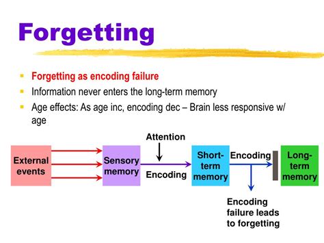 Encoding Failure Storage Decay And Retrieval Failure