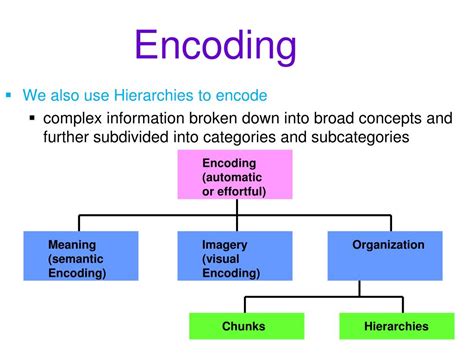 encoding meaning memory