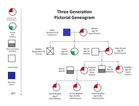 Encultural Genogram Template