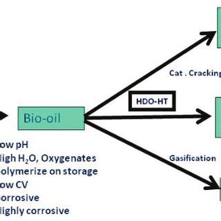 End Products Examples