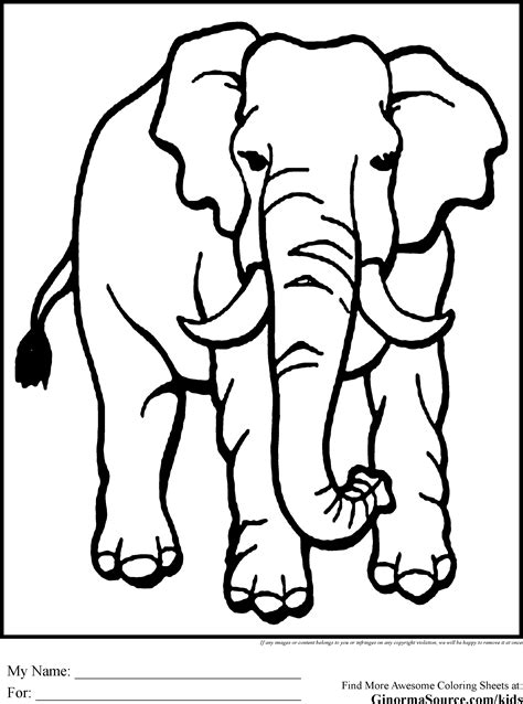 Endangered Animals Coloring Pages: A Fun Way To Learn About Wildlife