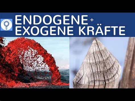 Latest Endogene Und Exogene Prozesse