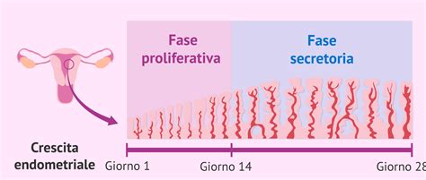 endometrio ispessito in menopausa forum