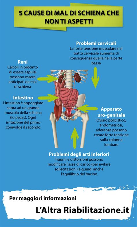 endometriosi sintomi mal di schiena