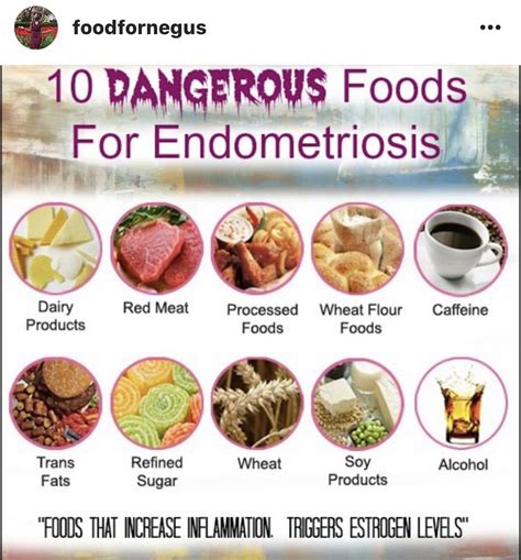 endometriosis and diet research