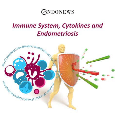 endometriosis and the immune system