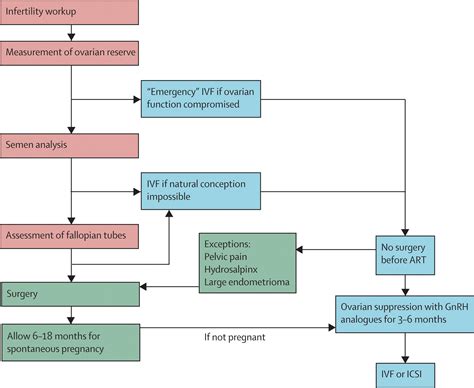 endometriosis treatment algorithm