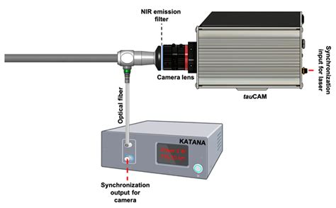 Endoscopy Lifetime Imaging