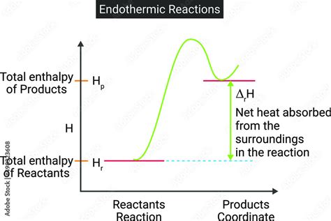 Endothermic Reaction Enthalpy
