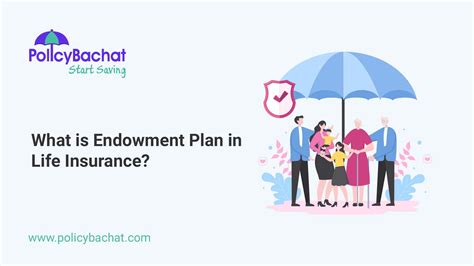Long Term Endowment Insurance