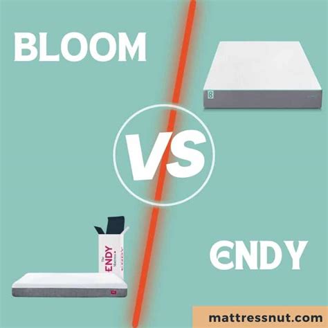 Endy Mattress Vs Bloom