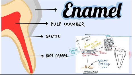 Enemail Template Image