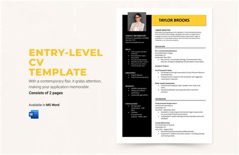 Enentry Level Cv Template Word