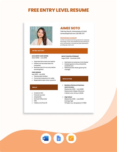 Enentry Level Resume Template Word