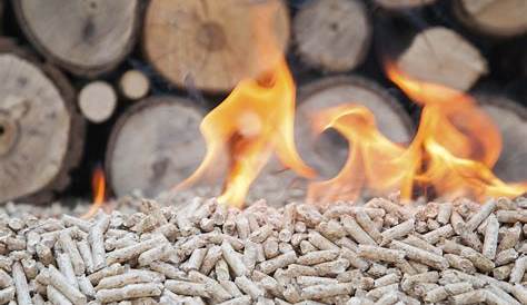 Energia Da Biomasse Cos E E Come Funziona La Centrale A Biomasse