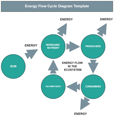 Energy Cycle Examples