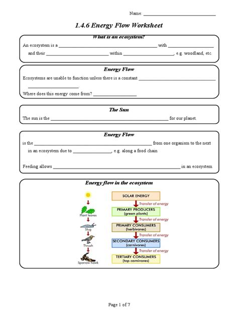 energy flow review worksheet answers