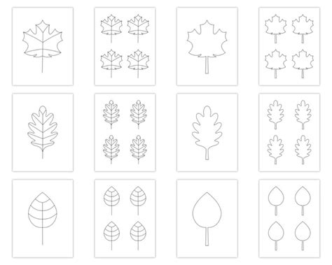 Enfall Leaves Templates