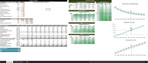 Enfeasibility Study Template Excel