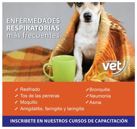 enfermedades respiratorias en perros pdf