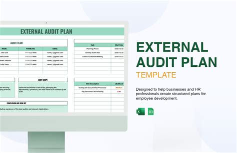 Enfinancial Audit Template Excel
