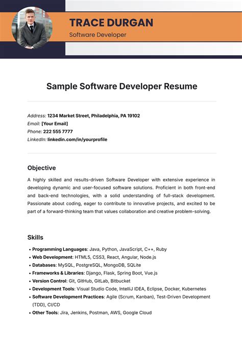 Enfree Software Developer Resume Template