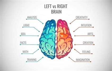 Engaging Both Brain Hemispheres