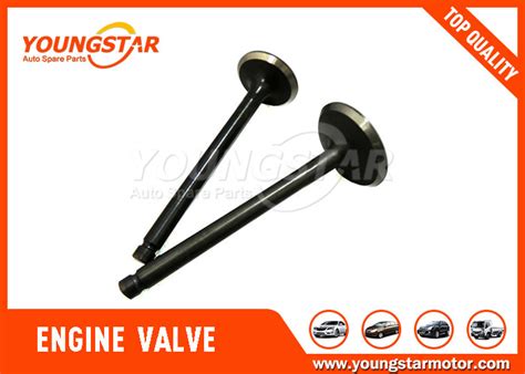 Engine Valves Zawory
