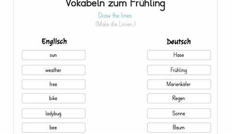 Arbeitsblatt - Vokabeltest Unit 5 - Englisch - tutory.de