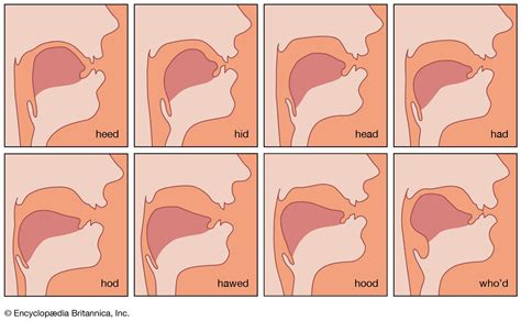 english pronunciation tongue position